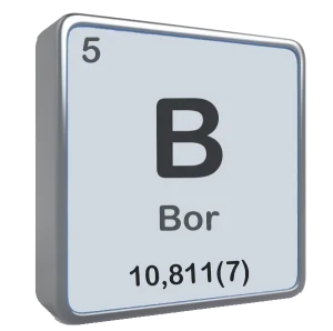 bor elementi