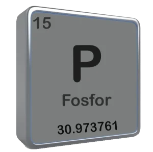 fosfor elementi