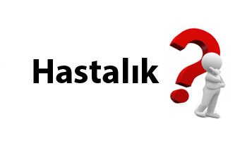 Hastalık ve Sayrılık Nedir