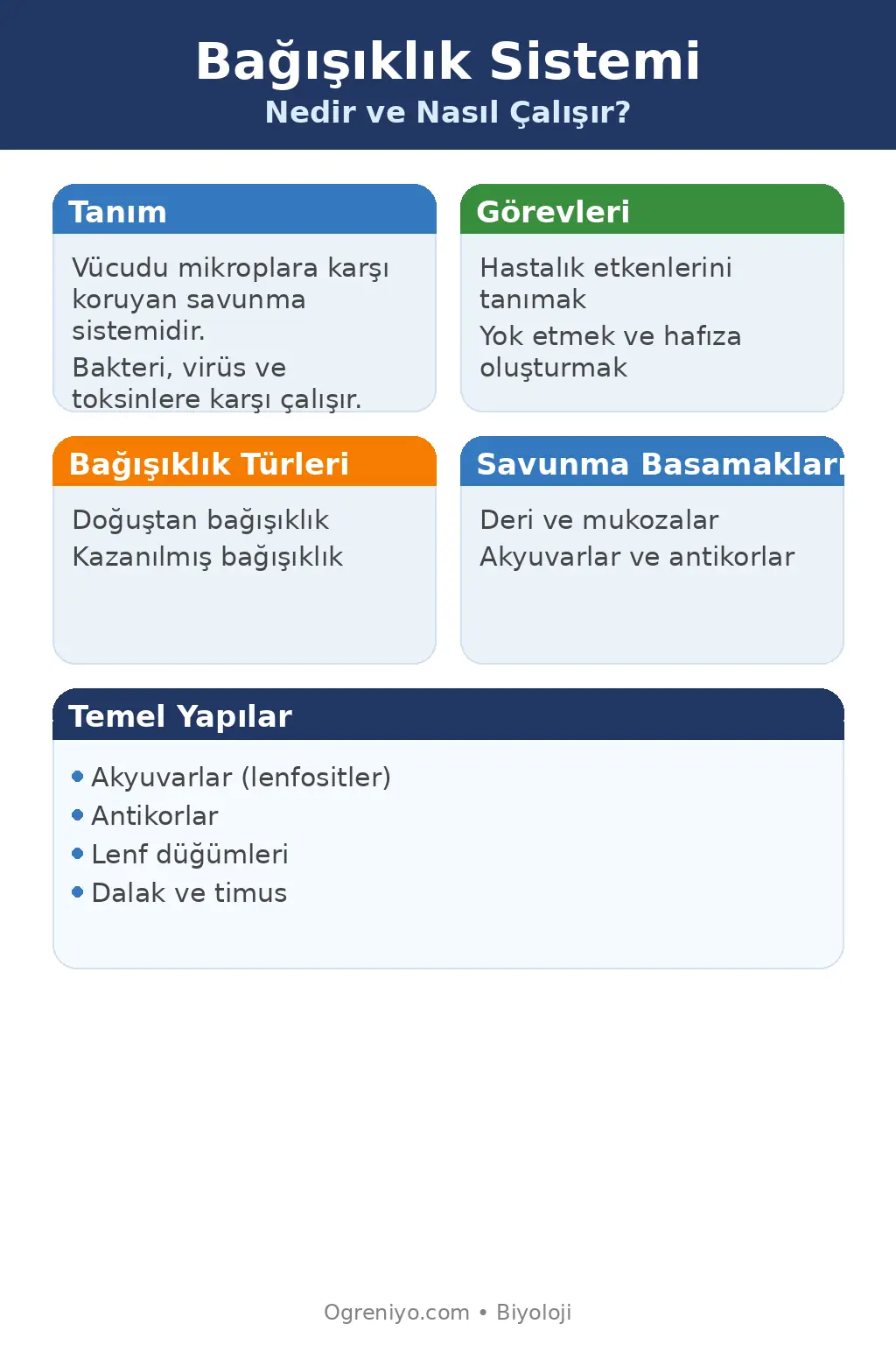 Bağışıklık Sistemi Anatomisi ve Savunma Mekanizması